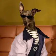秋冬用ペット厚手ジャケット【犬・猫用・防寒・リード付き】