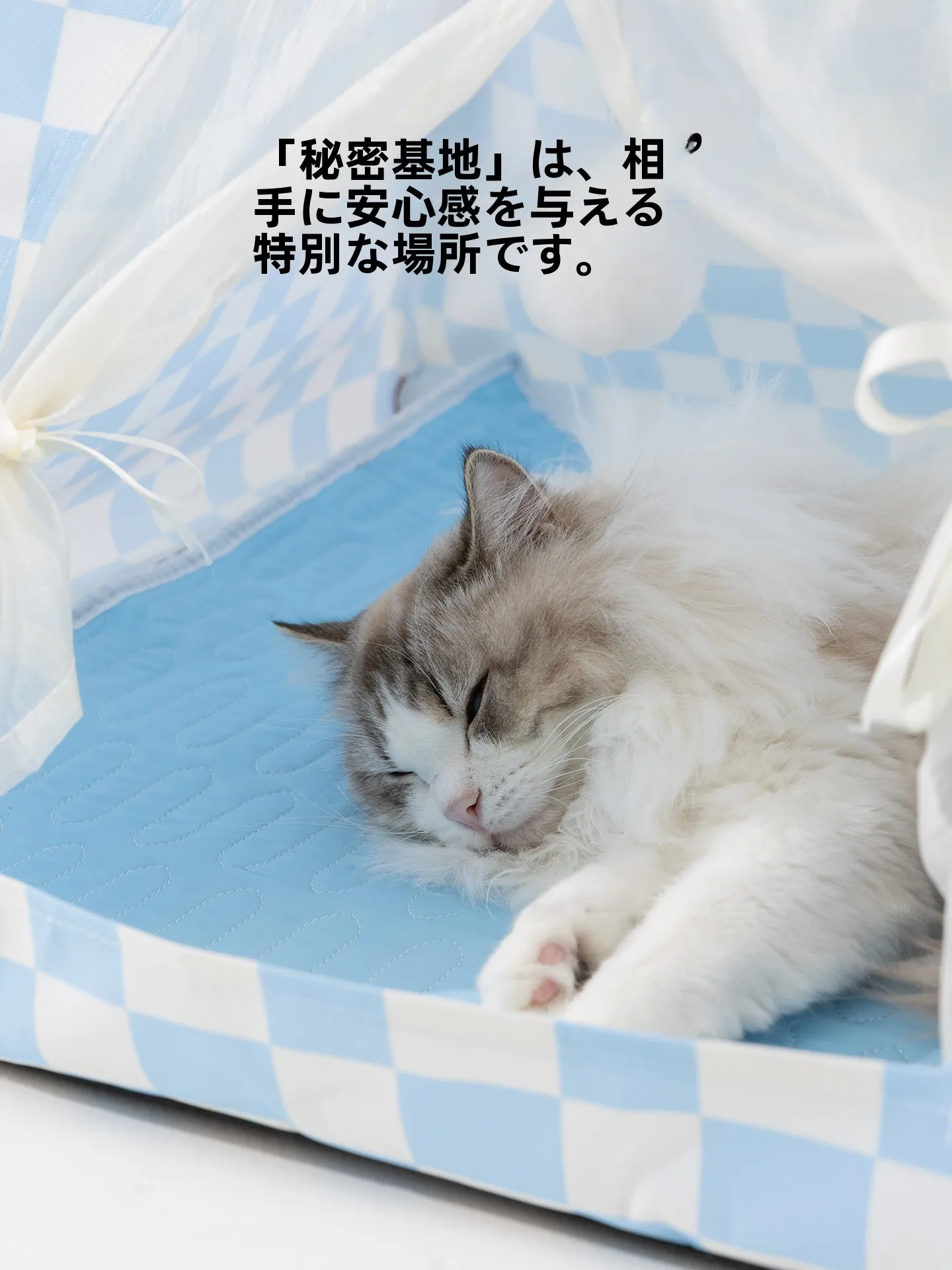 hipidog 犬用テント型ベッド：小型犬向けの半閉鎖式四季対応ベッドの実用性と選び方