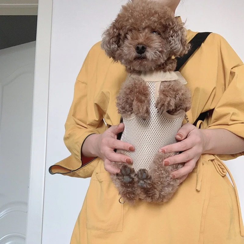 犬のお散歩グッズをコスパ良く揃える方法　サイズと素材の選び方を徹底解説