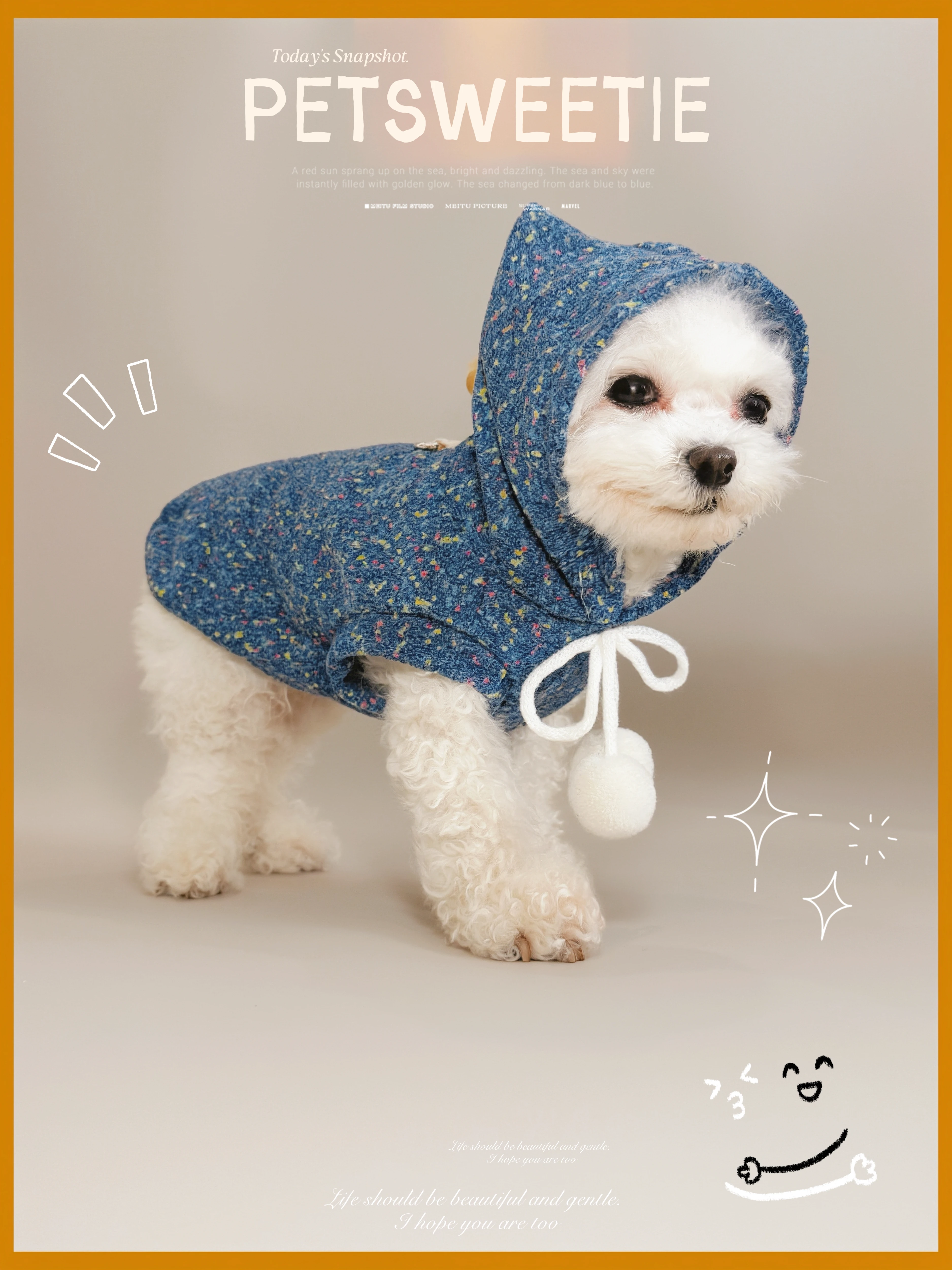 ペット用フード付き衣服：トレーナー犬用の外出シーンに最適な連帽衛衣