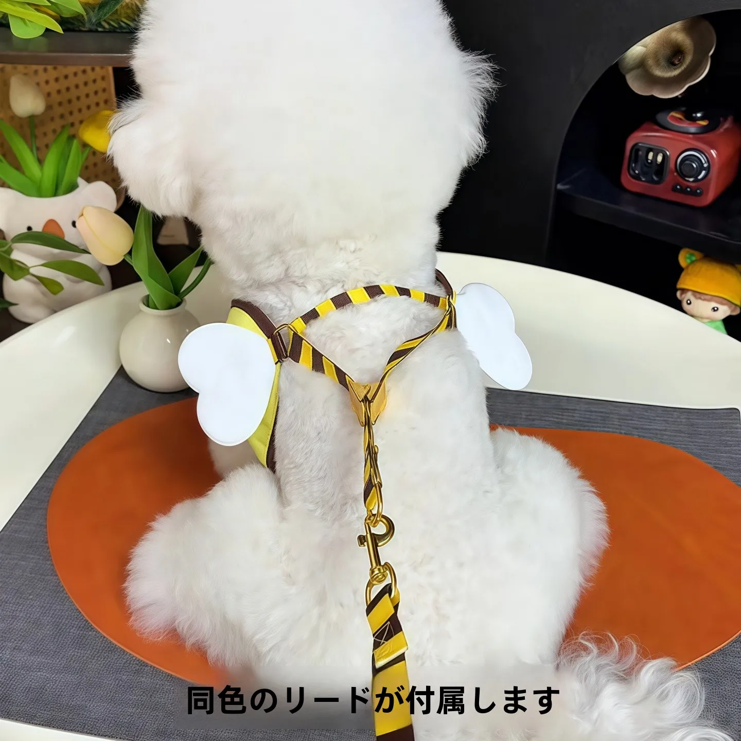可愛いハチデザインの中小型犬用ハーネス：胸掛けスタイルで安全かつ快適な散歩を実現