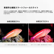 ダイビング用 LEDライト 撮影用 補助光 防水 マクロ スポット フォーライト 「XADVENTURER」