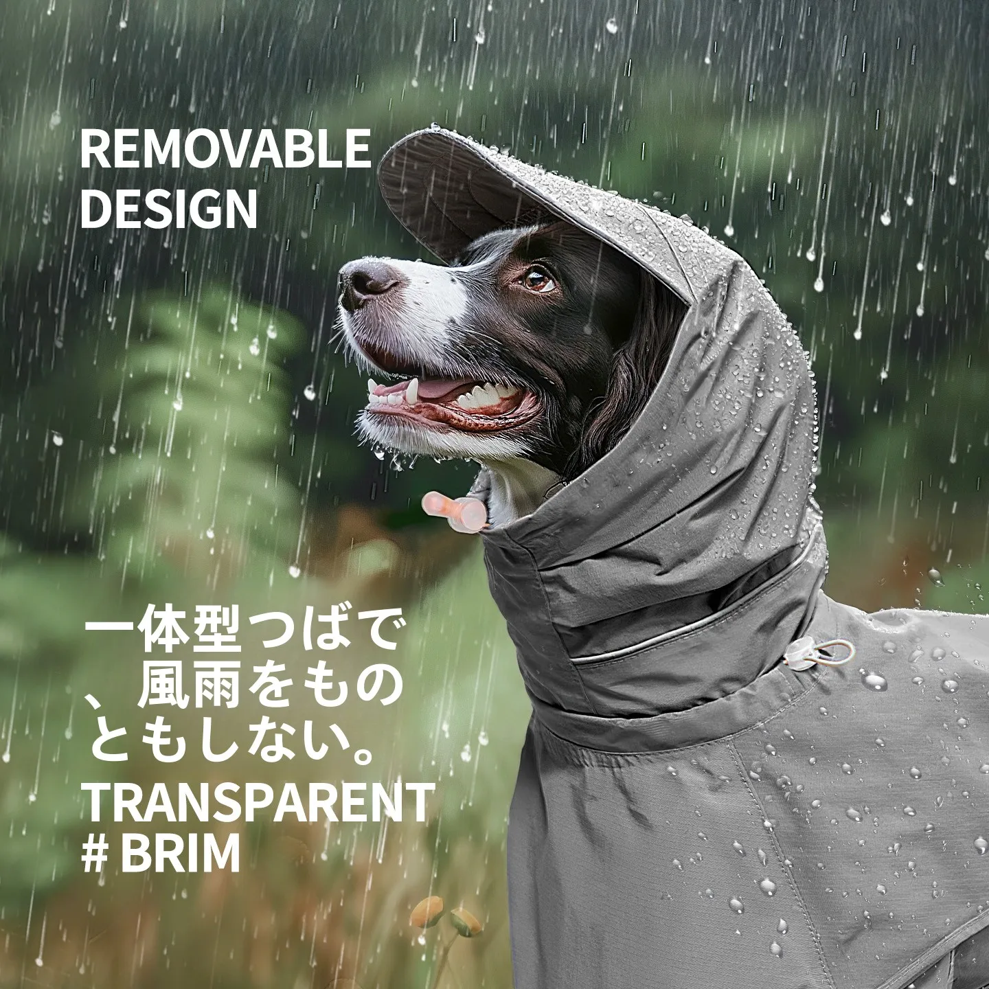 犬のお散歩グッズをコスパ良く揃える方法｜風雨対策と着脱のしやすさを徹底解説