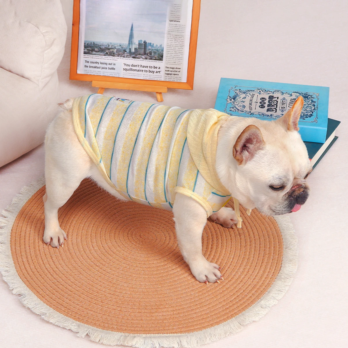 夏用犬服ストライプ軽量透湿性虫除け対応の実用性と使用シーン