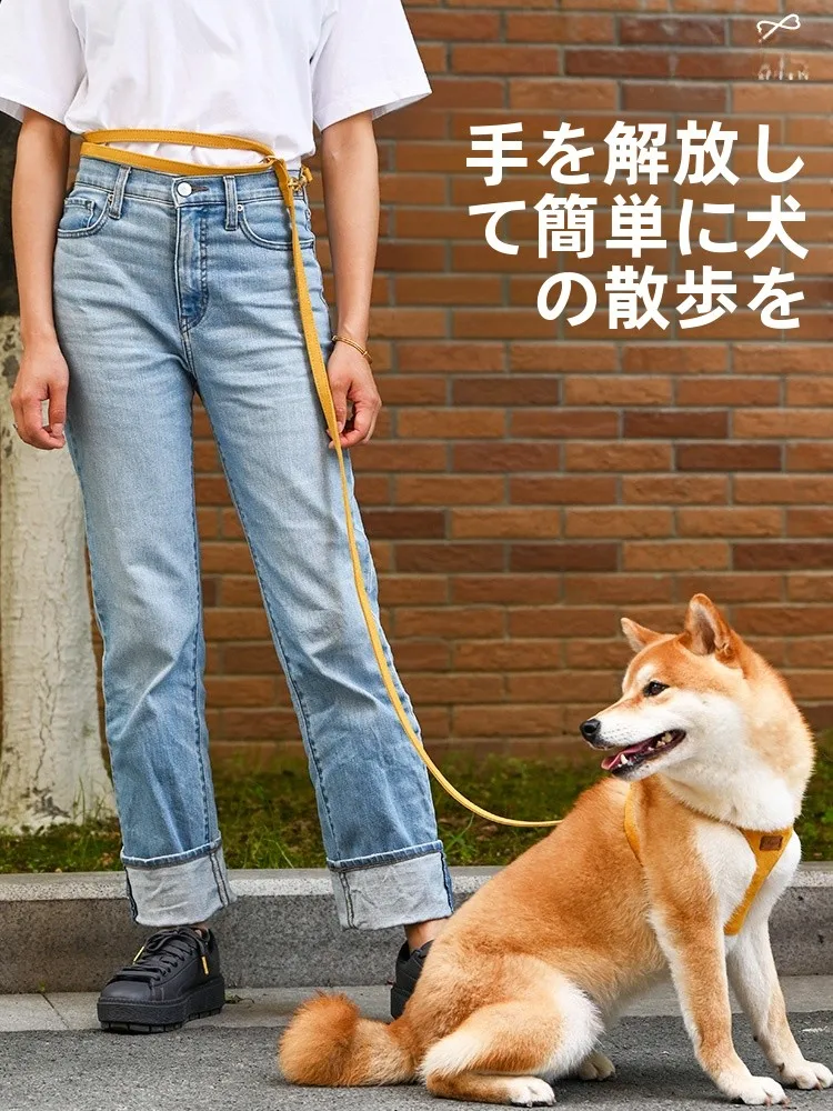 犬のお散歩グッズをコスパ良く揃える方法 - 調節可能な2匹用リードの定義と特性