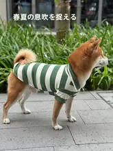 秋用のペット用コットンPOLOシャツ【薄手・通気性・柴犬・シュナウザー・コーギー対応】