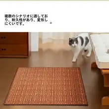 モダンシンプル防滑玄関マット【高級デザイン・日焼け跡付き・家用】