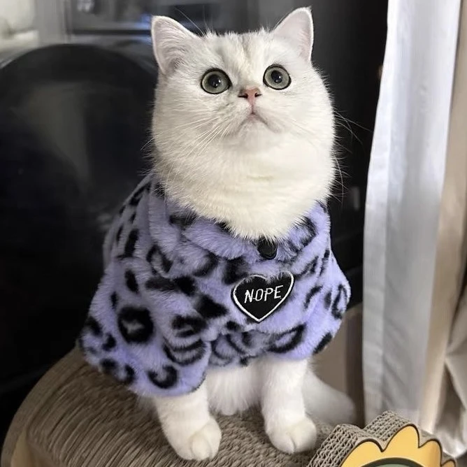 一人暮らしの猫にぴったりな冬の服は、どう選ぶ？