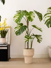 高級感あるリアルな葉の大型観葉植物【ゴムの木風・インテリア用・室内用】