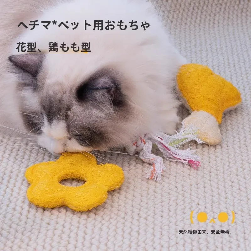 猫の遊び道具を手作りにするなら、この1品が本当の「遊びの質」を変える？