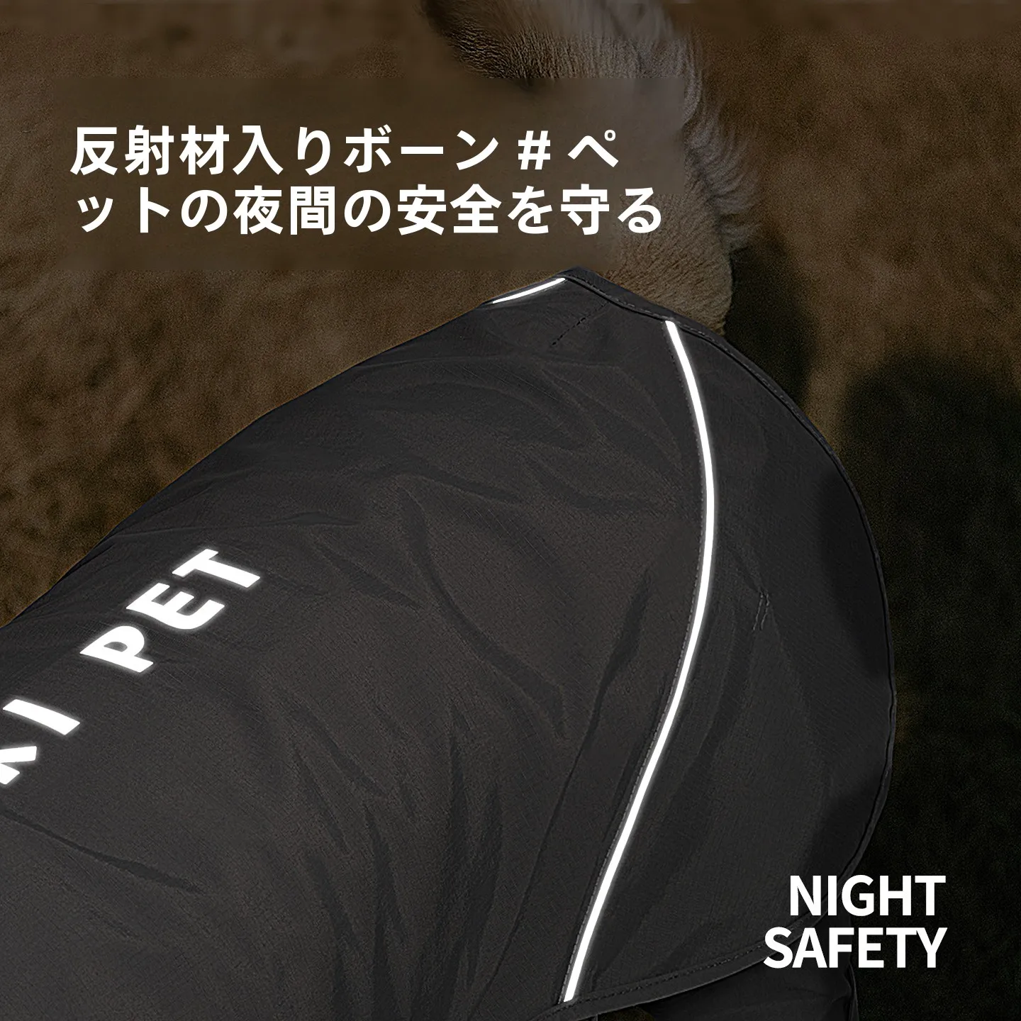 犬のお散歩グッズをコスパ良く揃える方法｜風雨対策と着脱のしやすさを徹底解説