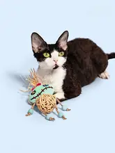 猫用おもちゃ 猫じゃらし スティッチ 籐ボール 爪とぎ 鈴の音 一人遊び 暇つぶし 「GiGwi」