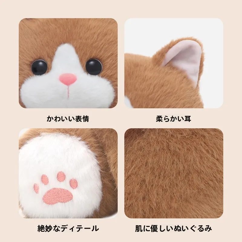猫好きに贈るプレゼントとして、抱き枕を選ぶべき理由は？