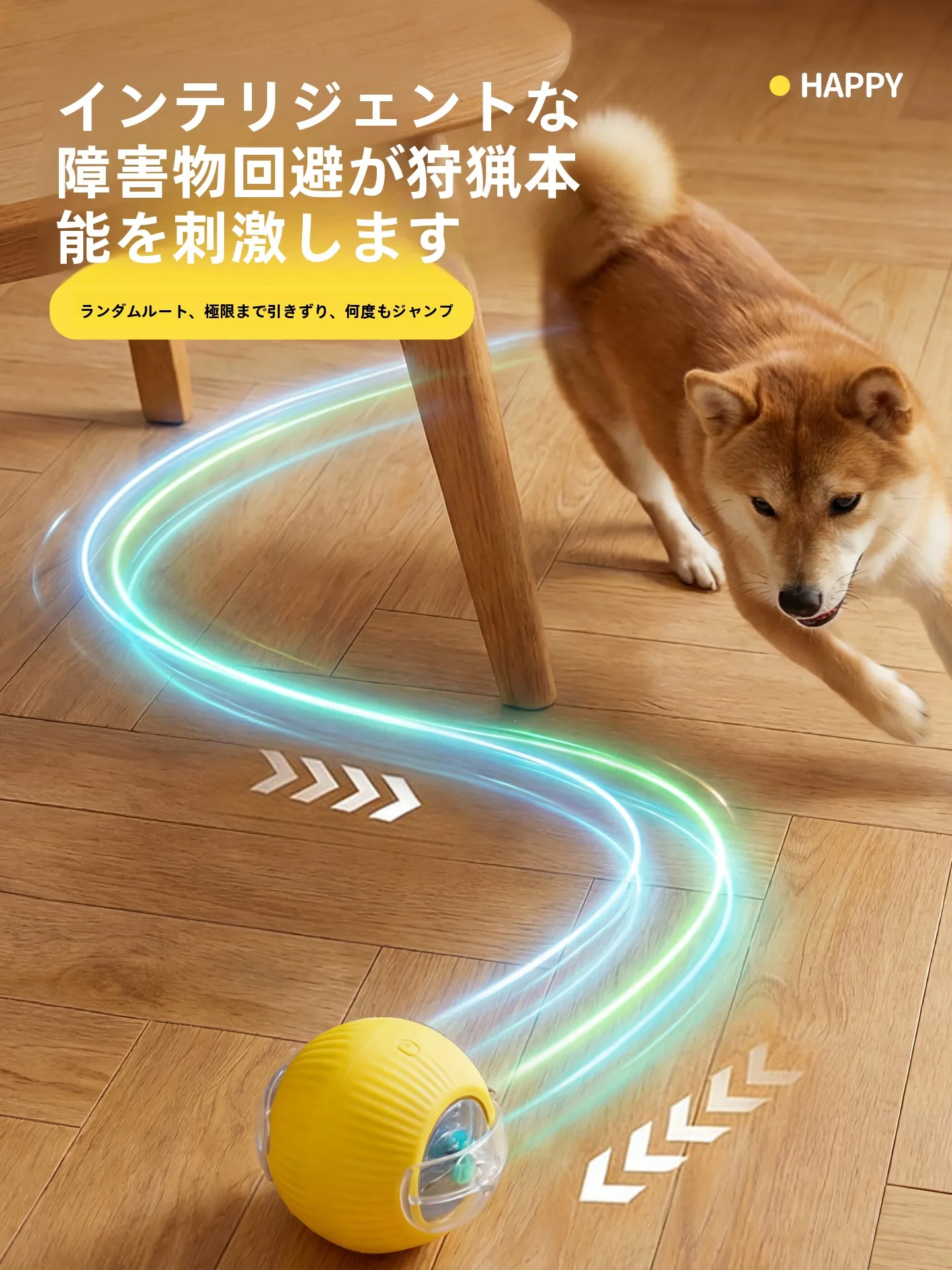 ペットの遊び時間がもはや「技術の進化」なのか？最新のペット用おもちゃに隠された、本当の温かさとは？