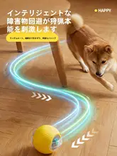 耐久性のあるペット用おもちゃボール【噛みごたえ・猫用電動おもちゃ】