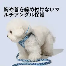 小型犬用 胸部ハーネス【背面式引き紐・テディベア・ポメラニアン用】