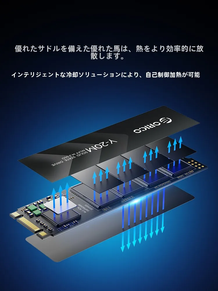 ORICO Y20M M.2 SSD 1TB：内部ストレージのアップグレードに最適な大容量ストレージとは