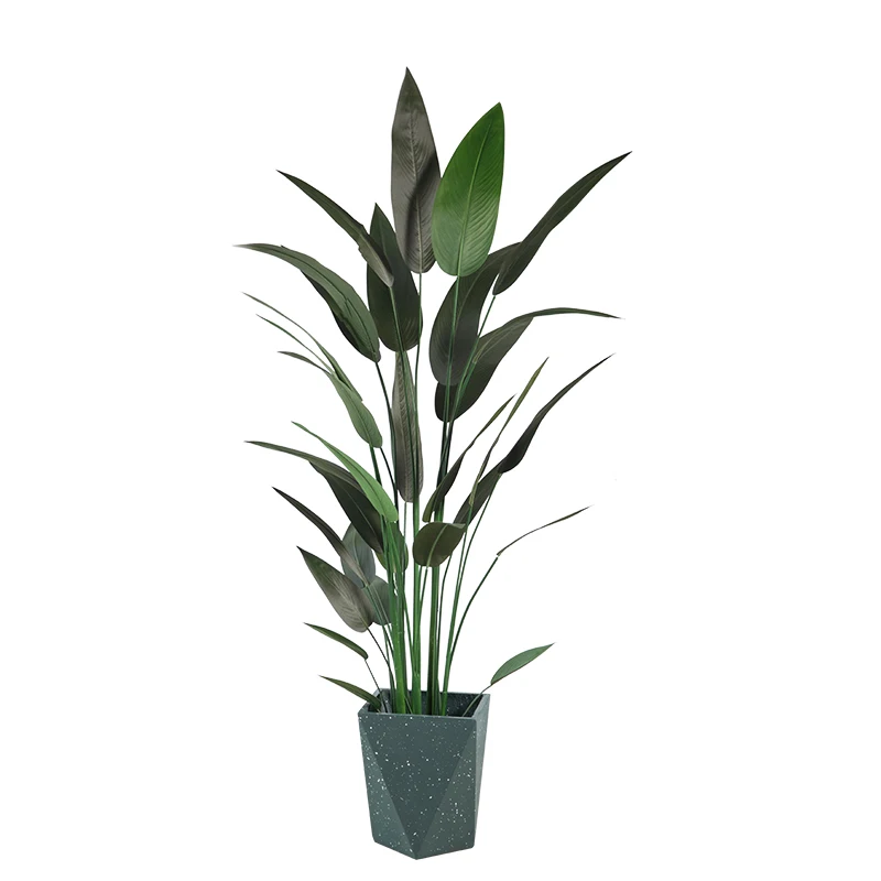フル活用した節約生活で見落としやすい植物の力・完全ガイド