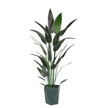 擬似植物 クズ 種類 大型 装飾性 グリーン プランター
