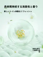 Badigo 使い捨てトイレマット【防水・旅行用・持ち運び便利・独立包装・消臭香る】