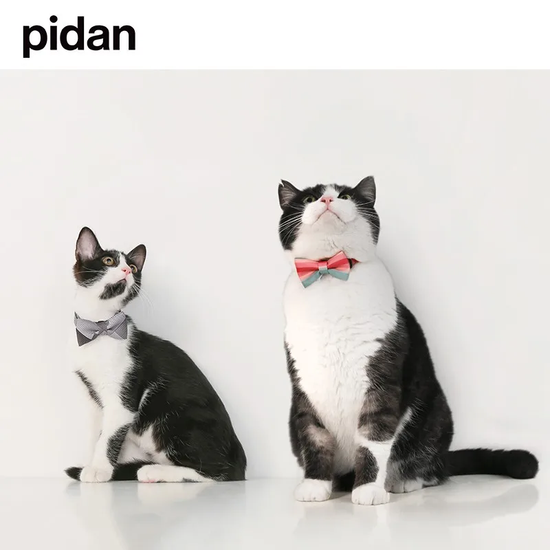 猫飼いが買ってよかったもの・悪かったもの、正直に言うなら？