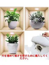 立体感のある多肉植物のウォールステッカー【インテリア用・ガラス貼り対応】