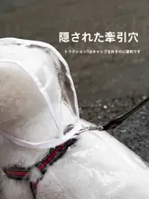 犬用レインコート【透明・小中型犬用・防水デザイン・テディベアタイプ】