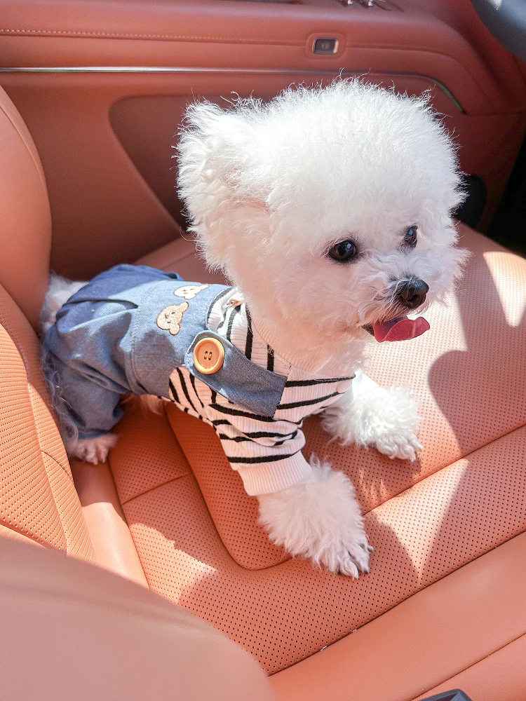犬服ハーネス対応：PETCIRCLEのテディベアスタイル四脚タイプが実際の散歩シーンでどう活用されるか