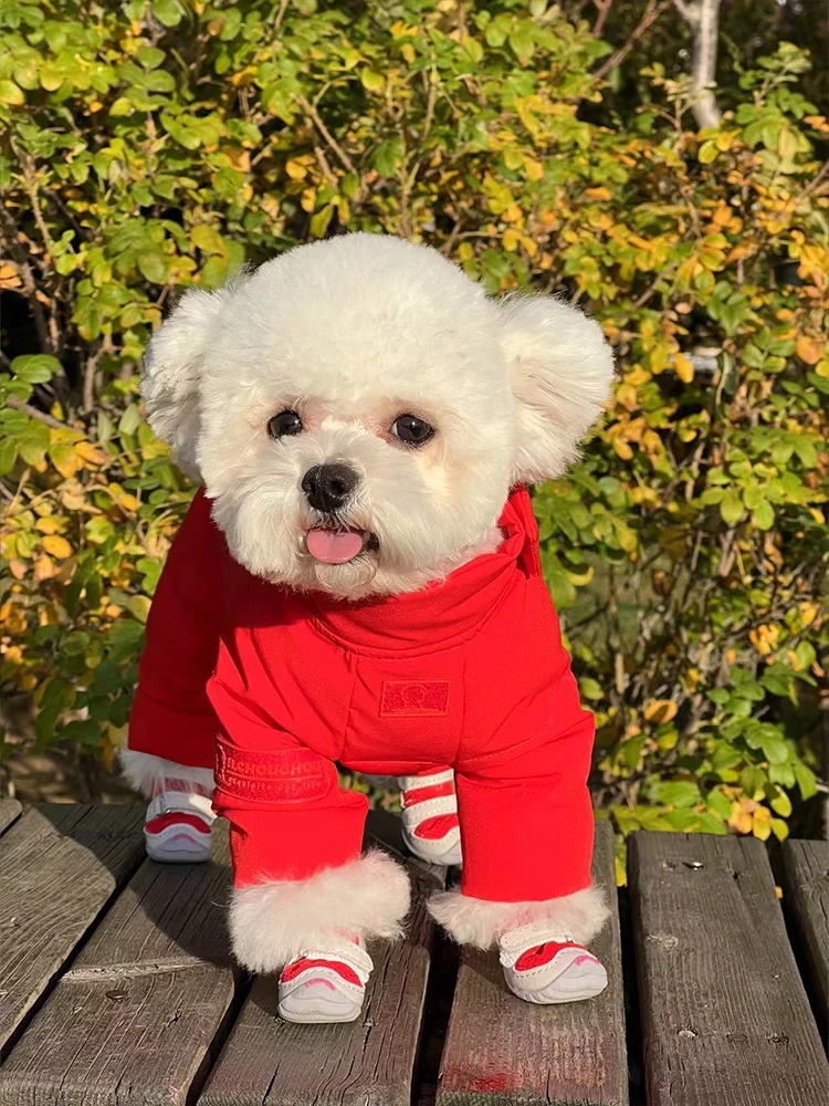 犬のお散歩グッズをコスパ良く揃える方法　チェコ素材の靴が実証する安心の選び方
