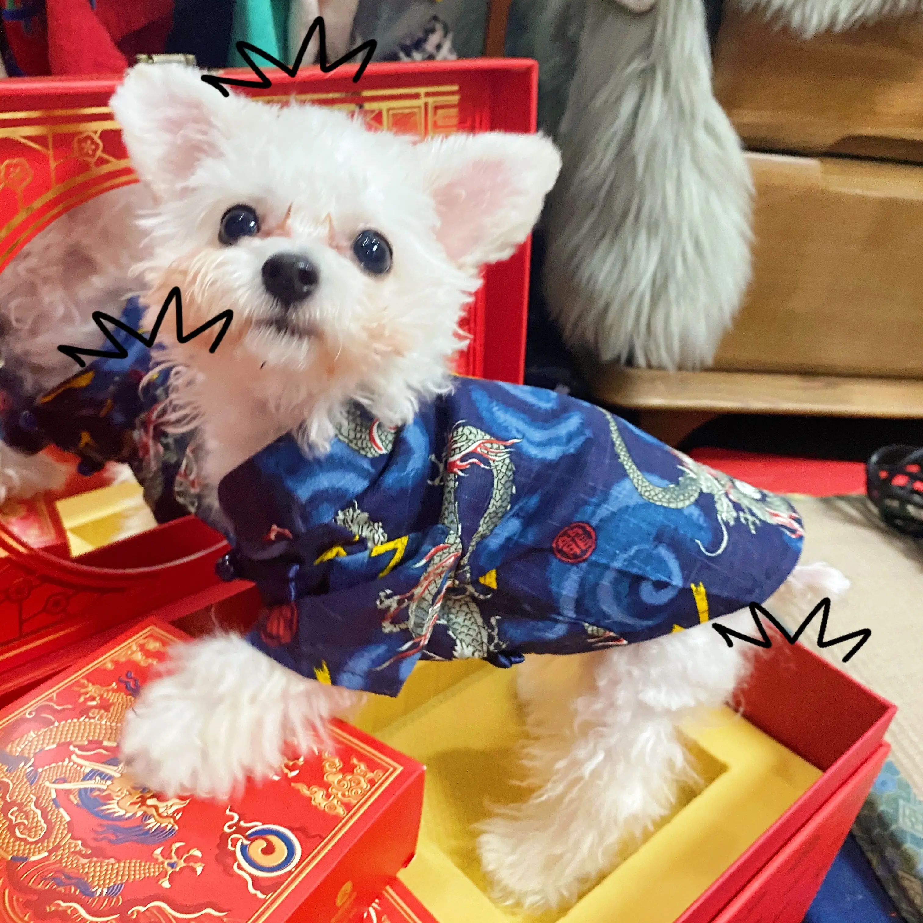 ペット用唐装：中国新年スタイルのおしゃれな犬服で季節の装いを実現