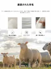 極上の柔らかさ ウールセーター【メンズ・ハイネック・カジュアル・冬用】