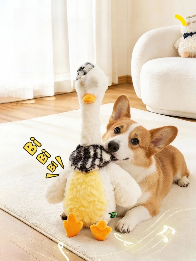 犬用玩具【毛布製・おしゃべり・歯磨き効果あり】の選び方と実際の使用シーン