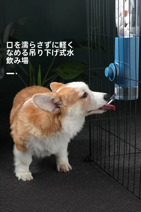 犬用ハンギング給水器【コーギー用・口を濡らさない・ペット水筒】