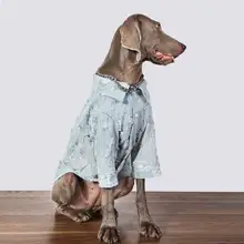 大型犬用デニムジャケット【春秋用・防毛機能・ゴールデンレトリバーやラブラドール対応】（セットアップ対応）