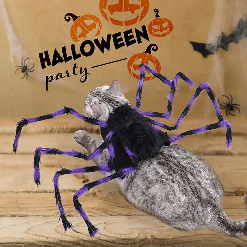 ハロウィン2026に使えるペット衣装は？リアルなスパイダーといたずら犬服がおすすめ！