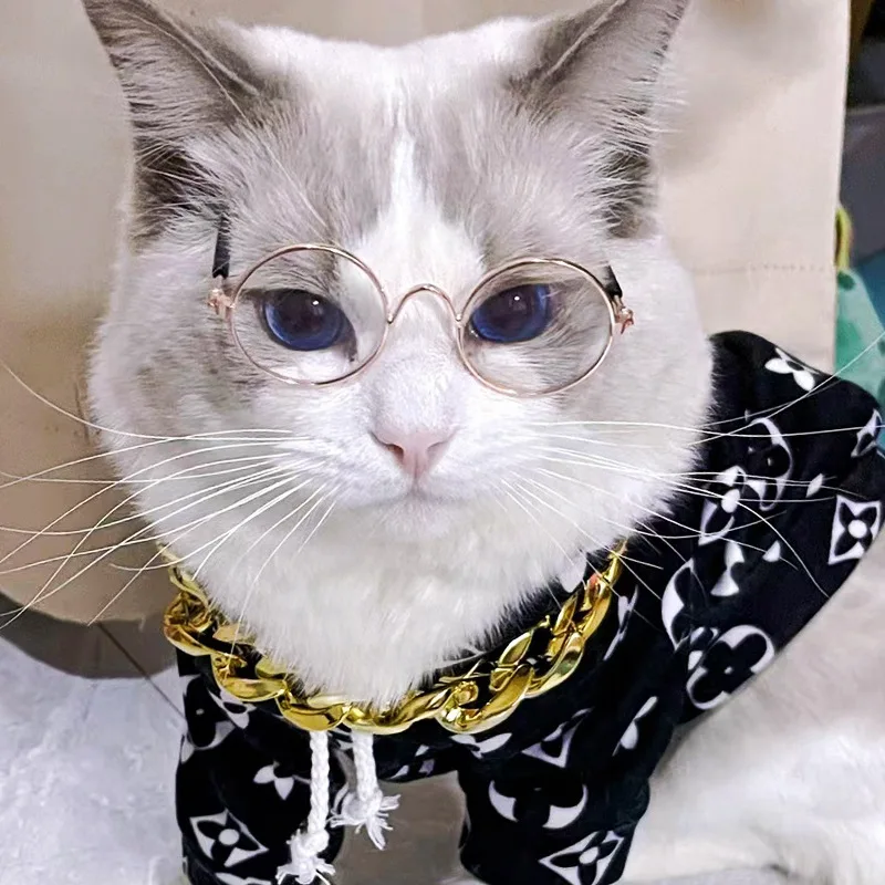 猫飼いが買ってよかったもの・悪かったもの正直に言う｜サングラスでストレスを軽減する完全ガイド