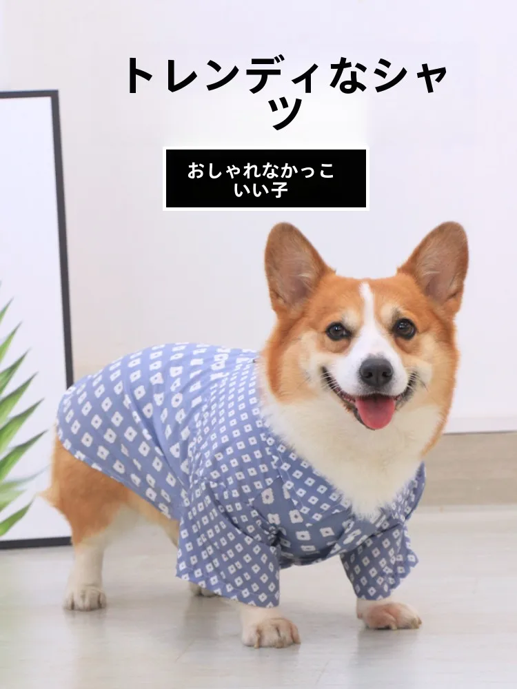 かるキャンで犬と一緒に過ごす「心の癒し」は、どんなアイテムが鍵を握っているの？