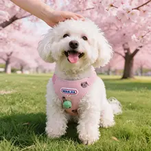 小型犬用 ハーネス付きリード【胸掛け式・ペット用・お散歩対応】