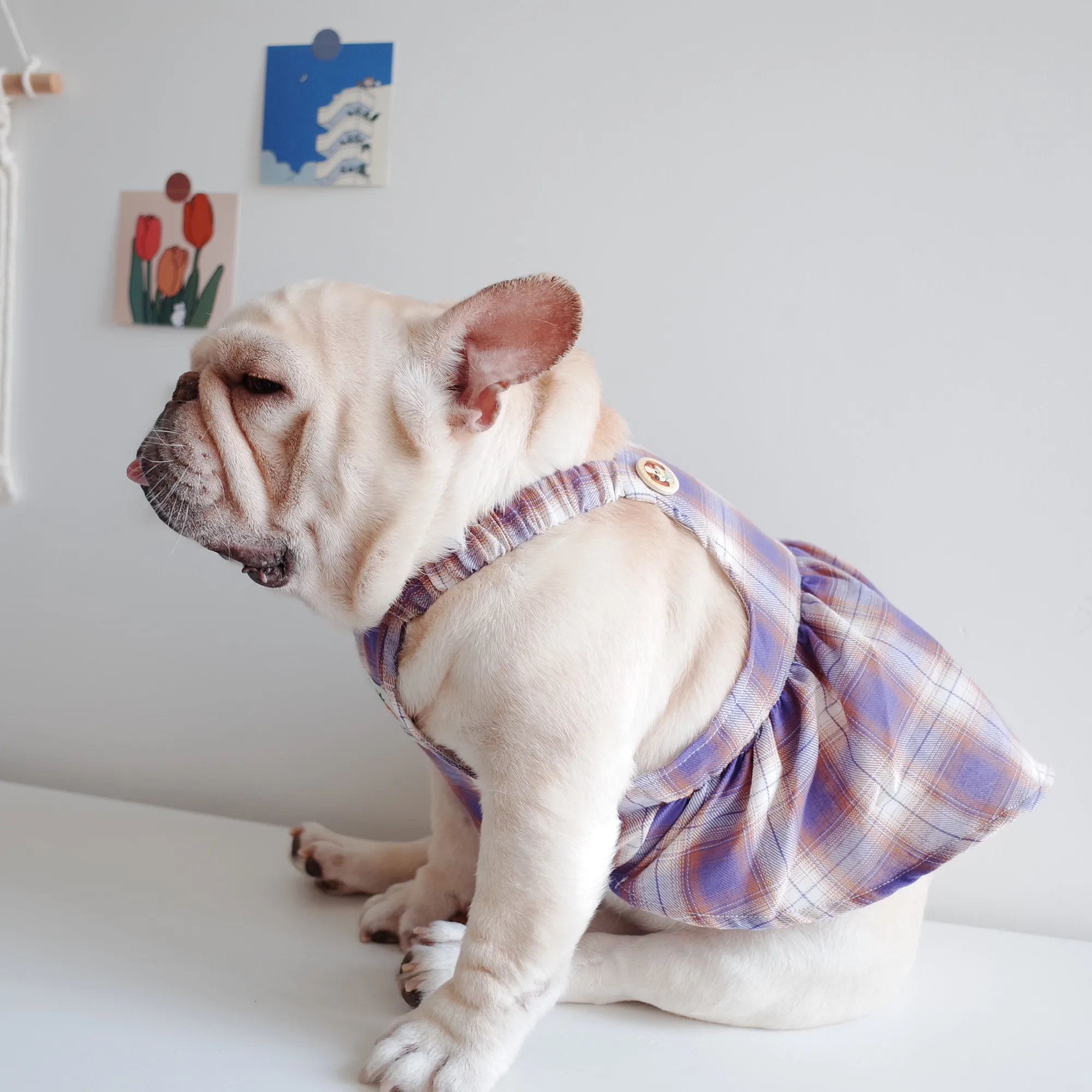 チェック柄の犬用キャミソールワンピース：夏用バルーンタイプの実用性とサイズ選びのガイド