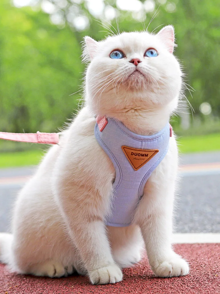 猫用ハーネスリード【脱走防止・背中式・小型猫用・イギリス短毛種対応】