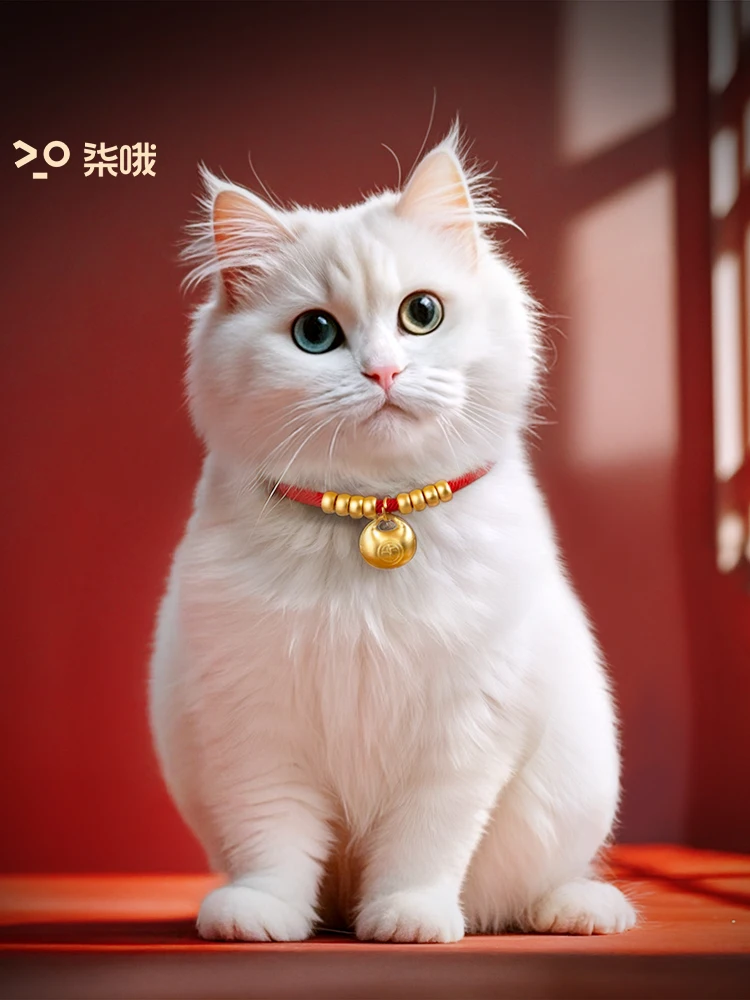 猫用首輪：高級デザインの富貴長命ロックと無音鈴付 きモデル