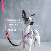 ZooLand 犬用首輪とリードセット【防爆・高弾力・大中小型犬対応】