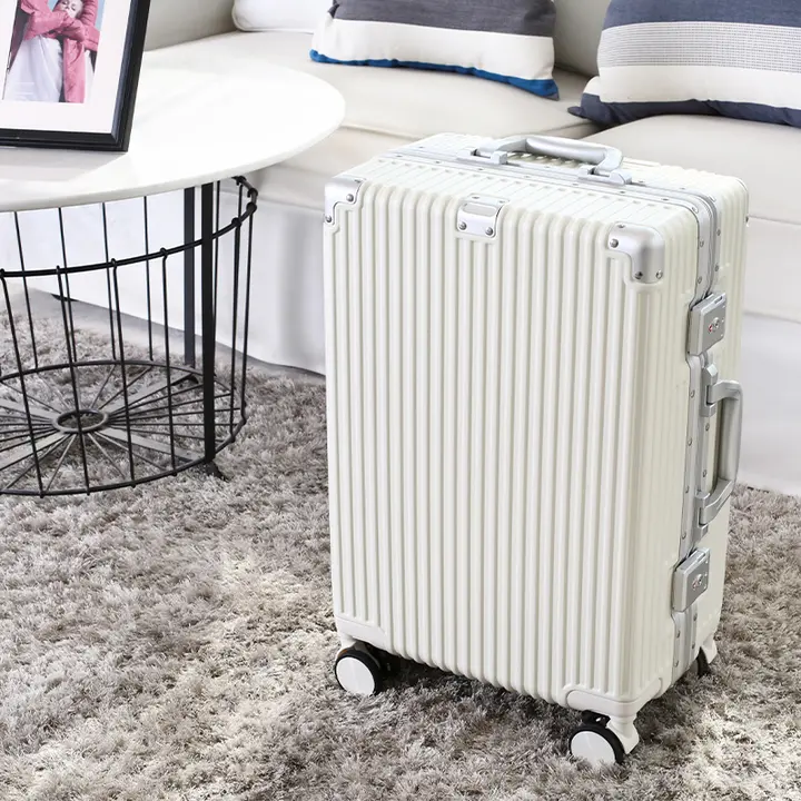機内持ち込み可能なキャリーバッグ【頑丈で耐久性あり・パスワードロック付き・二十インチ・旅行用】