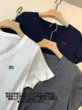 シルクライクな柔らかさ！刺繍入りVネック短袖Tシャツ【極上の軽さ・透け感】