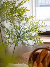 ナンテンの植物 大型グリーン植物 リビング装飾 フェイクツリー 生命感ある