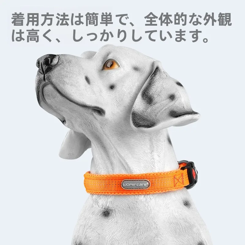 犬のお散歩グッズをコスパ良く揃える方法 - 首輪・リードセットの調整可能サイズと機能