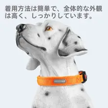犬用首輪・リードセット【中小型犬対応・テディ・ゴールデン用・調整可能】