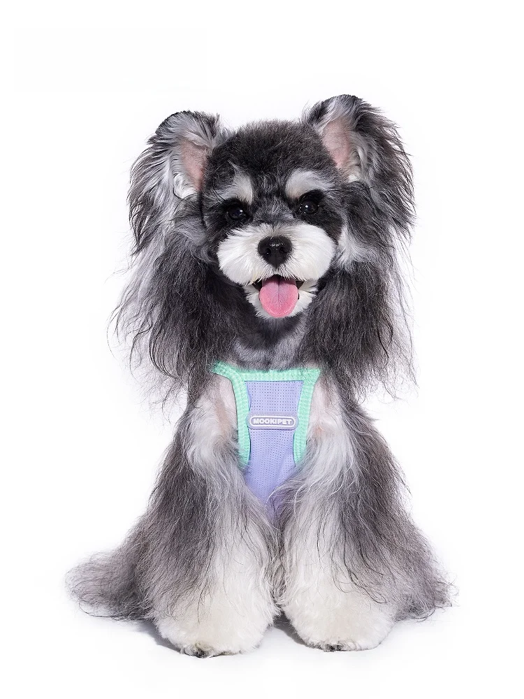 犬のお散歩グッズをコスパ良く揃える方法｜失敗しない選び方の完全ガイド
