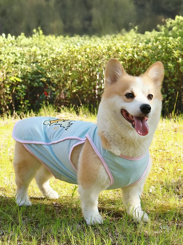 犬用夏用防紫外線ベスト：通気性と抜け毛防止の実用性を検証