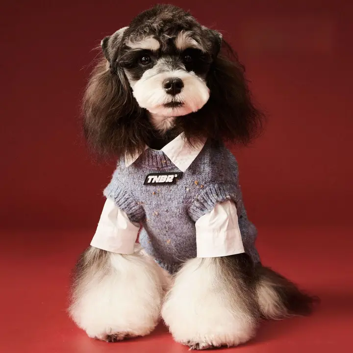 秋冬用ペット犬毛糸ベスト【シュナウザー・テディ・ビション・ヨークシャーテリア・マルチーズ・柴犬対応】